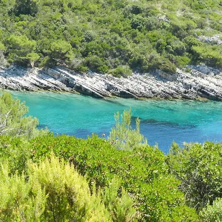 Foissner * Zavalatica