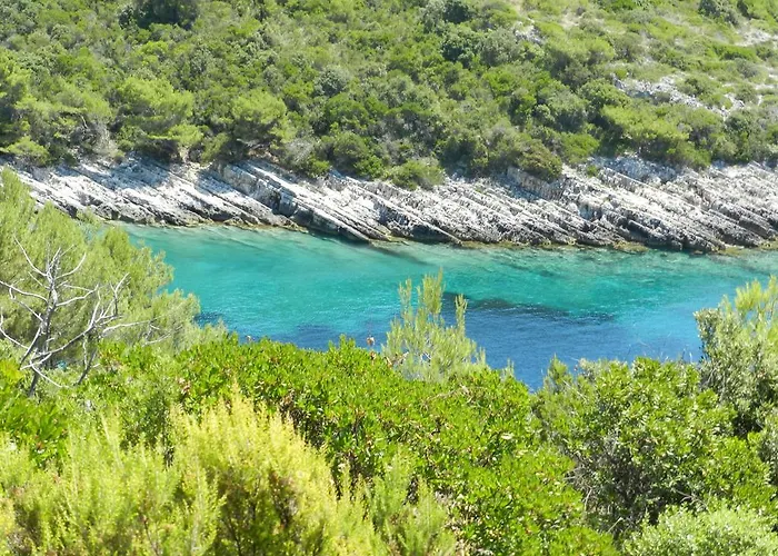 Foissner * Zavalatica