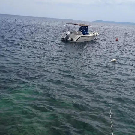 Foissner 扎瓦拉提卡